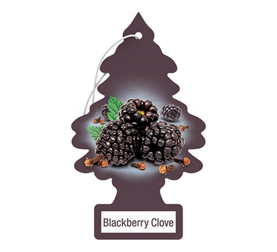 Little Trees - Blackberry Clove 24Pk
