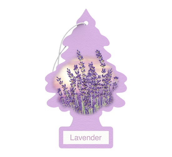 Little Trees - Lavender 24Pk