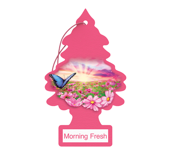 Little Trees - Morning Fresh 24Pk