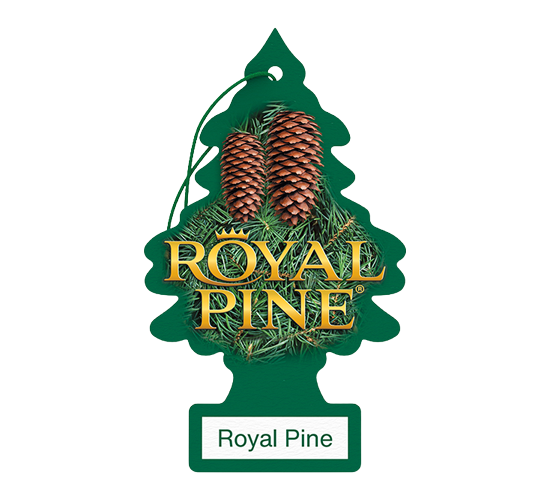 Little Trees - Royal Pine 24Pk