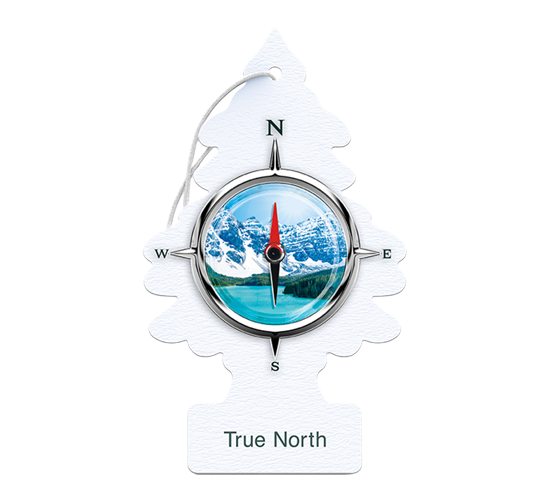 Little Trees - True North 24Pk