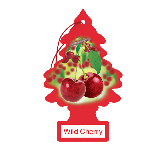 Little Trees - Wild Cherry 24Pk
